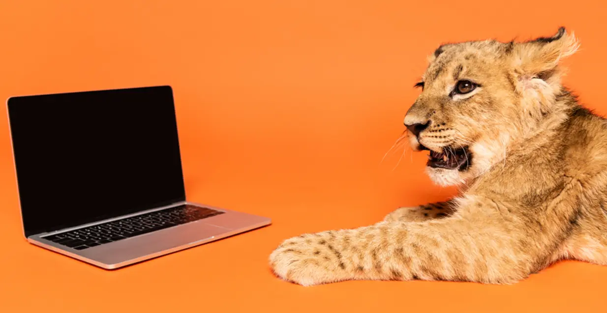 ChatBot do Leão 2026: Como a Receita Federal Pode Ajudar na Sua Declaração de Imposto de Renda